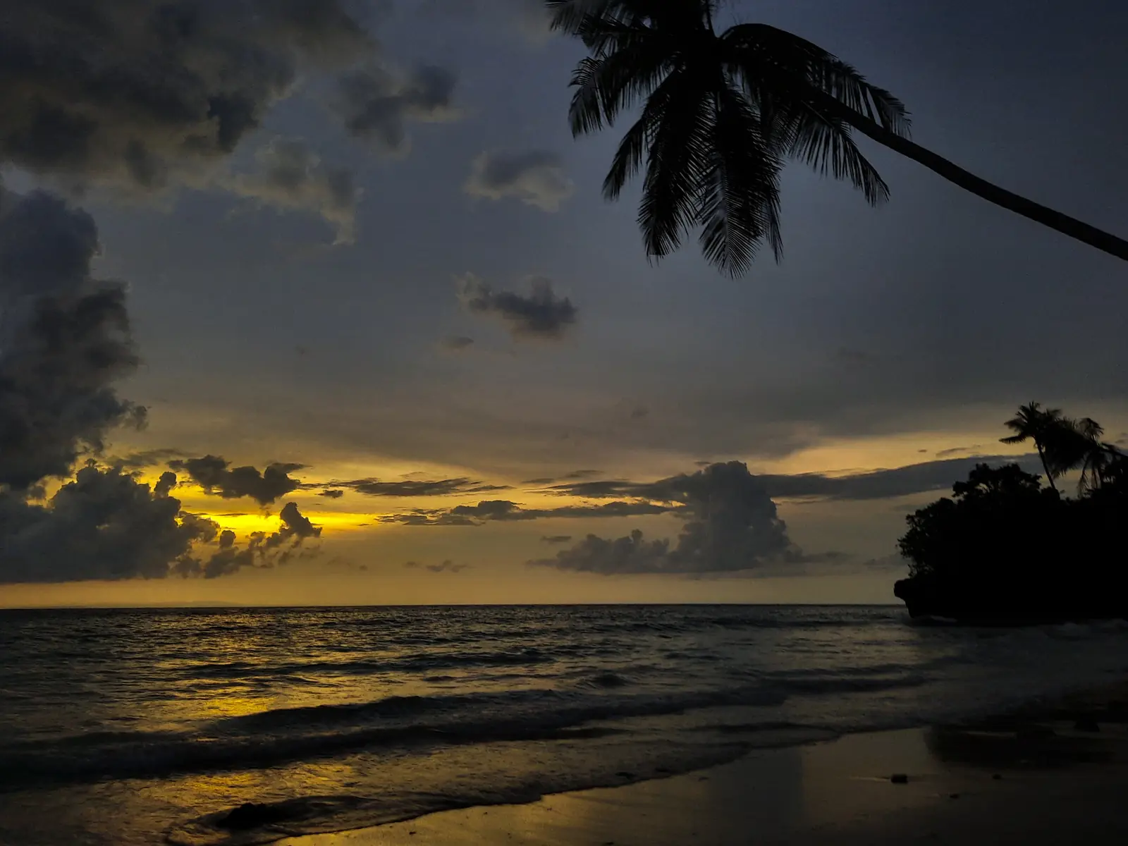 Siluet pohon kelapa dan cahaya senja di Pantai One Satanda, Desa Sombu, Wakatobi